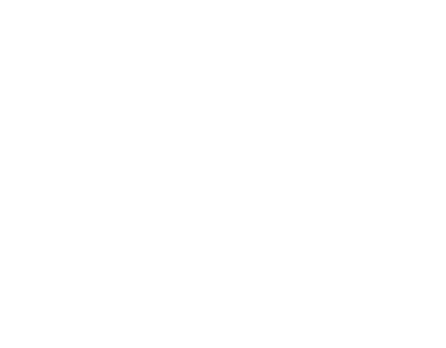 三陽の技術人